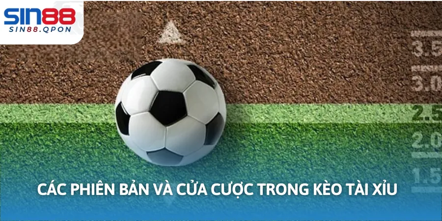 Các hình thức cược khi chơi tài xỉu trong bóng đá
